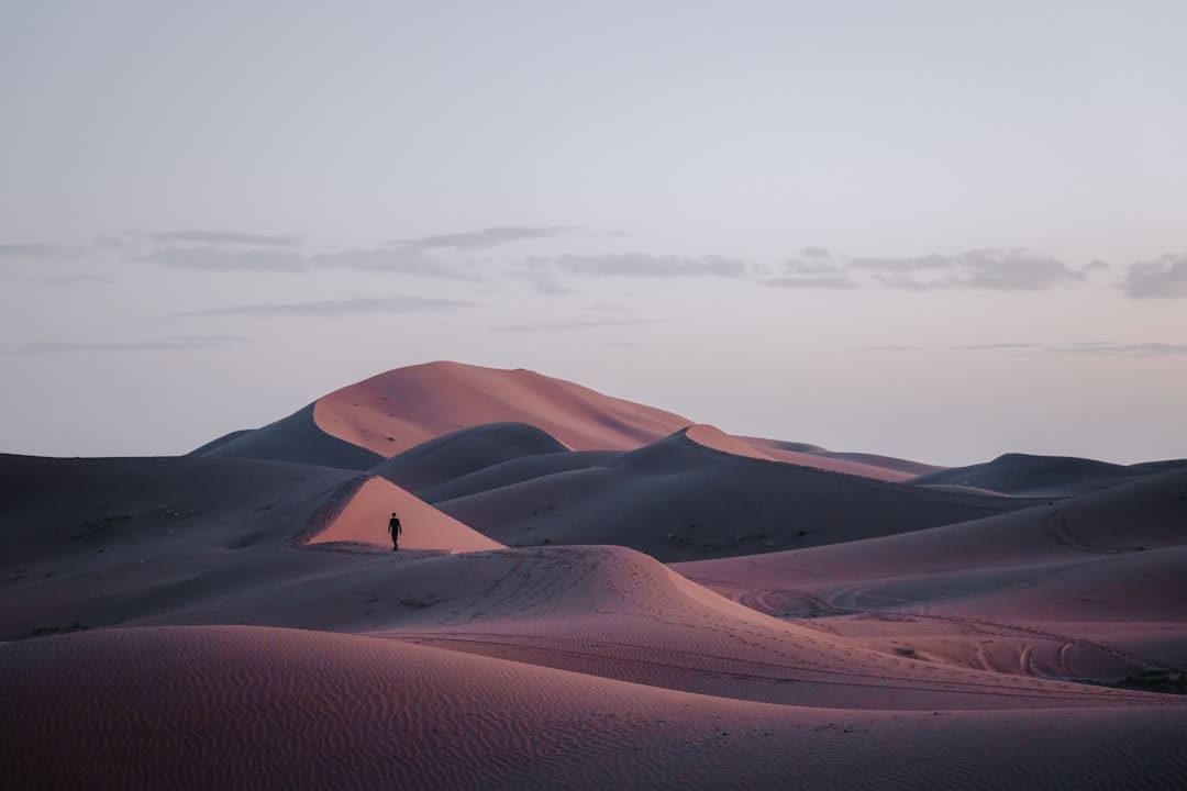 股票交易的根本流程
